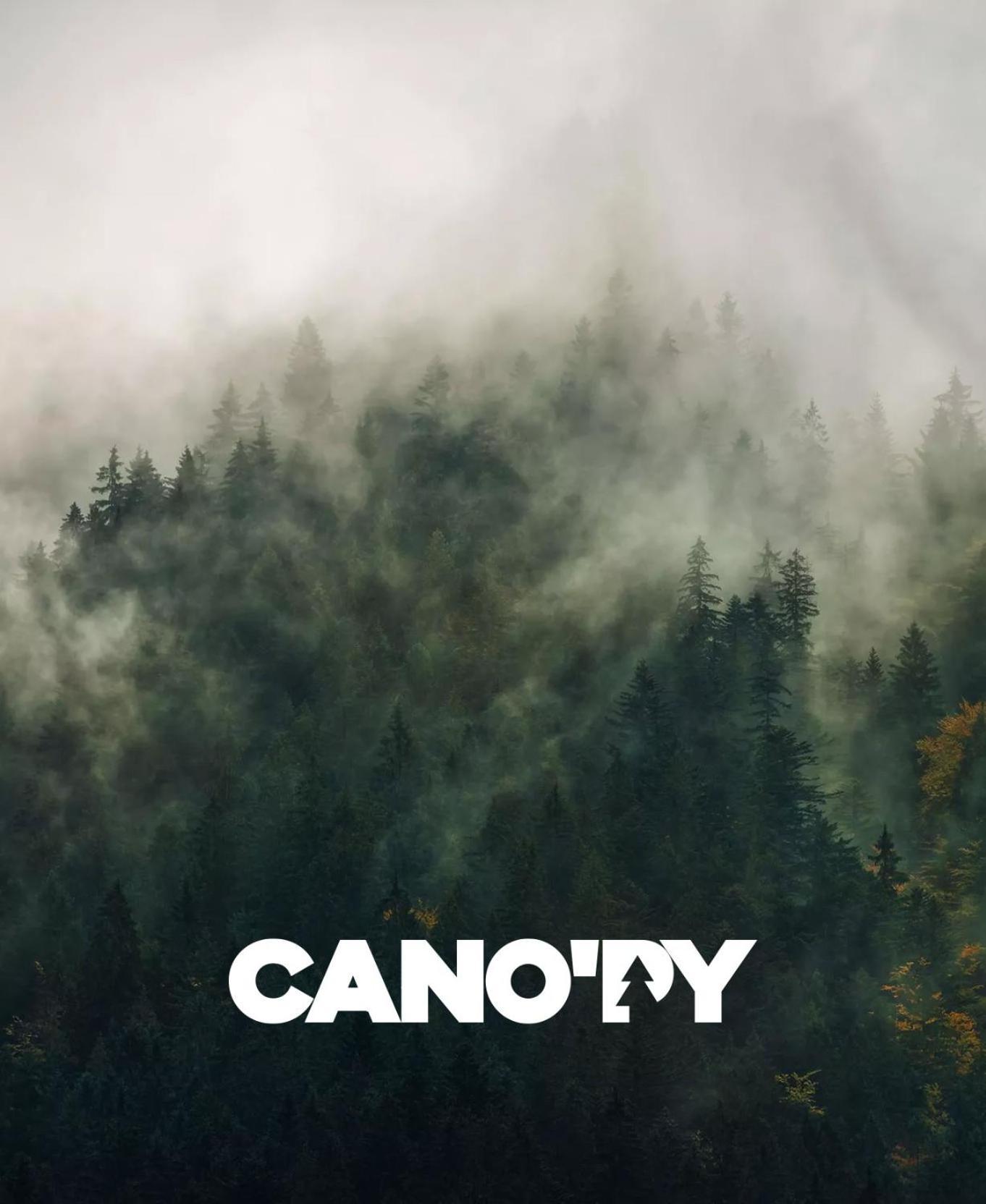 Cano'Py, Charmant 2 Pieces Avec Vue Montagne En Coeur De Ville Bagnères-de-Luchon Екстериор снимка